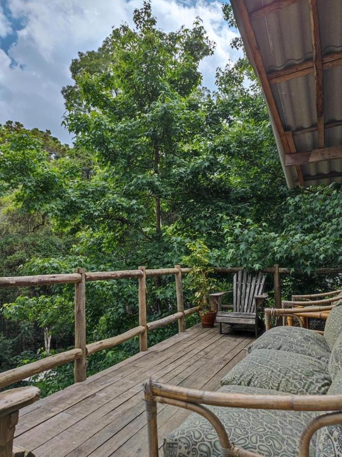 Campos do JordãoMiddle House别墅 外观 照片